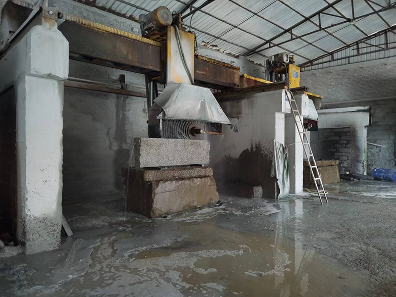 Circular Saw Workshop